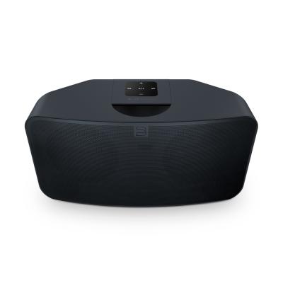 Bluesound Compact Wireless Multi-Room Music Streaming Speaker - PULSE MINI 2i (B)