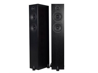Totem Acoustic Bison Twin Tower - On Display