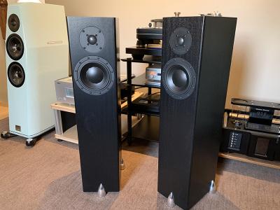 Totem Acoustic Forest in Black Ash - TRADE-IN