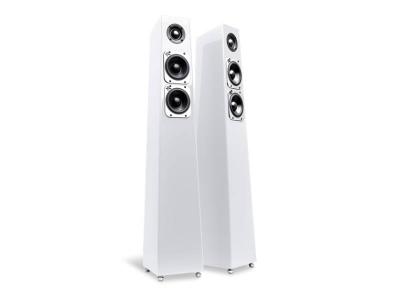 Totem Acoustic Tribe Tower Floor Standing Speaker - Ice Finish