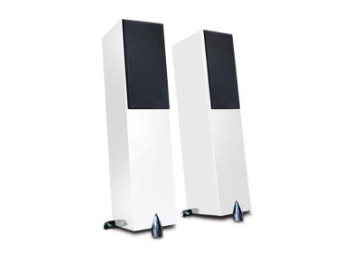 Totem Acoustic Forest Signature Floorstanding Speaker in Ice Gloss White Finish