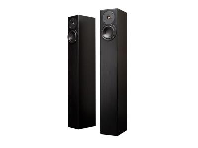 Totem Acoustic ARRO Ultra-Slim Design Floorstanding Speaker - Black Ash Finish