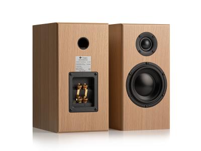 Totem Acoustic Bison Monitor - On Display