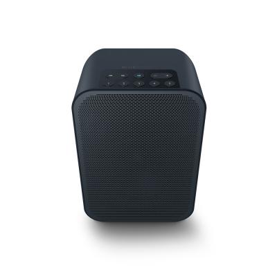 Bluesound Portable Wireless Multi-Room Music Streaming Speaker - PULSE FLEX 2i (B)